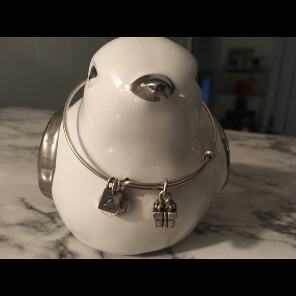Jewelry - Alex and Ani retired present bangle